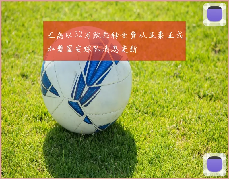 王禹以32万欧元转会费从亚泰正式加盟国安球队消息更新