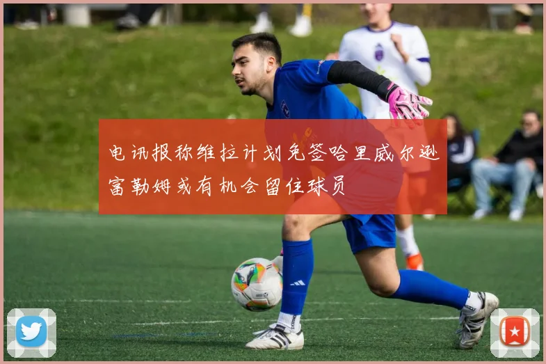 电讯报称维拉计划免签哈里威尔逊富勒姆或有机会留住球员