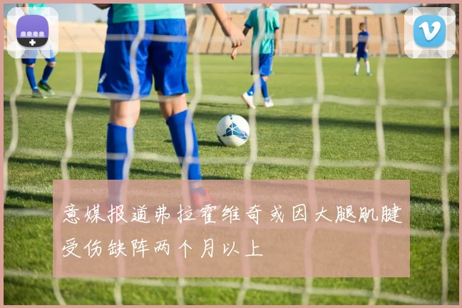 意媒报道弗拉霍维奇或因大腿肌腱受伤缺阵两个月以上