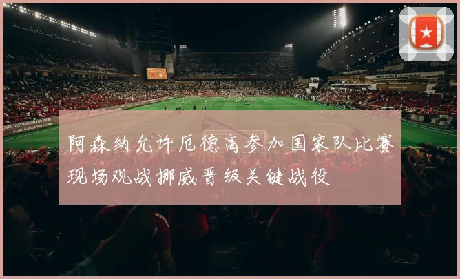 阿森纳允许厄德高参加国家队比赛现场观战挪威晋级关键战役