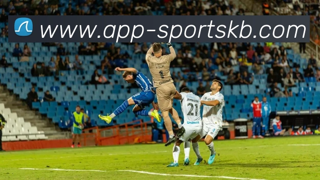 KB体育平台生态图