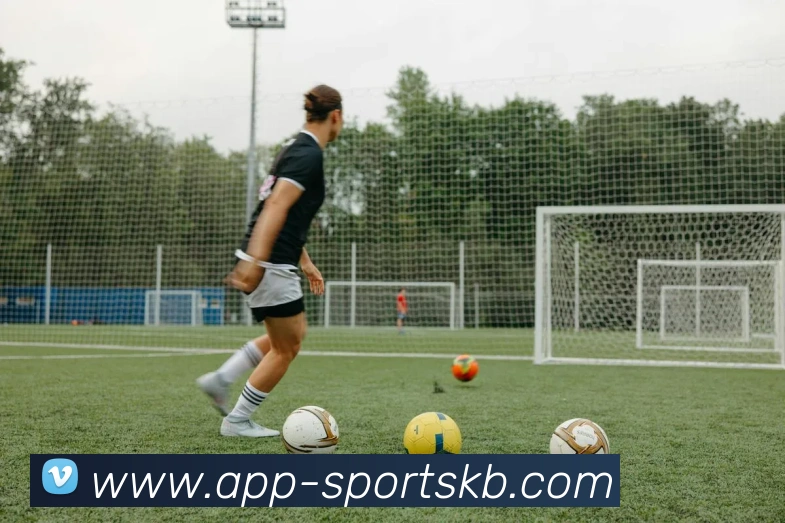 KB体育APP 封面图